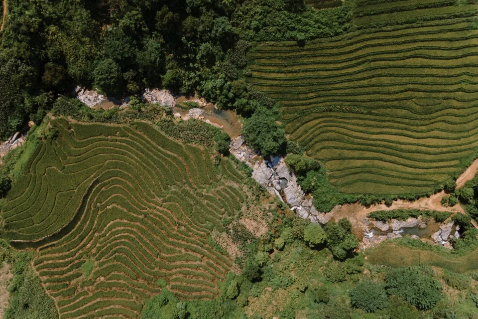 Kho gạo của Trần Thị Quý